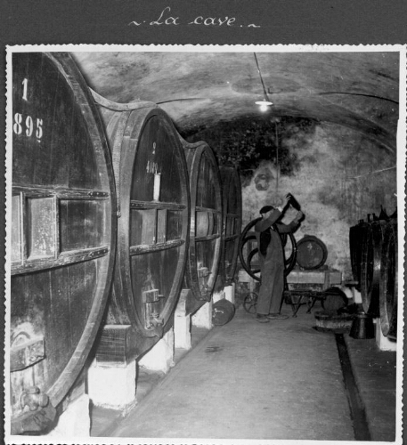 Cave à vin de l'IPES Aniane