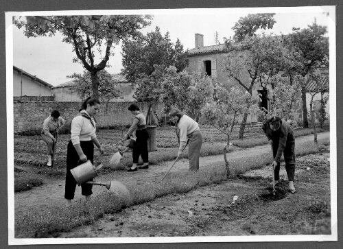 Travaux agricoles à l’ISES de Lesparre (4)