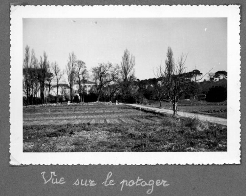 Potager du centre d’observation de Marseille « Chutes-Lavie »