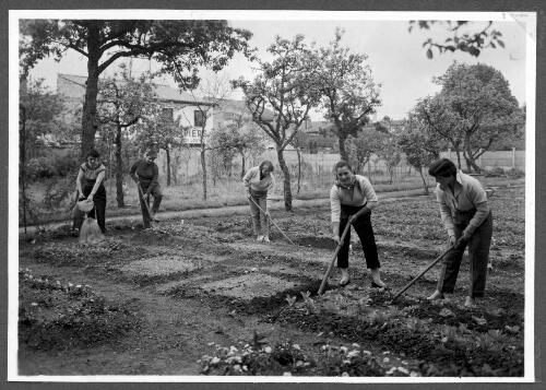 Travaux agricoles à l’ISES de Lesparre (3)