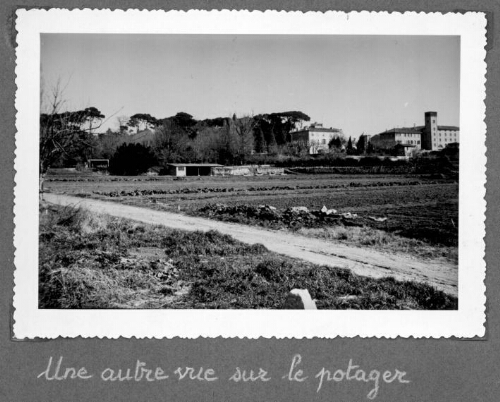 Potager du centre d’observation de Marseille « Chutes-Lavie » (2)