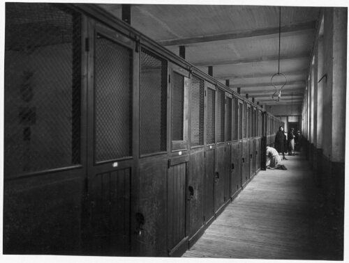 "Cages à poules" de l'école de préservation de Clermont-de-l'Oise (2)