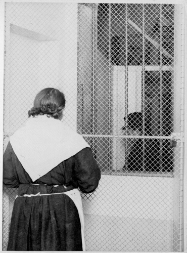 Jeune fille regardant un gardien de la prison de la Petite Roquette à travers un grillage