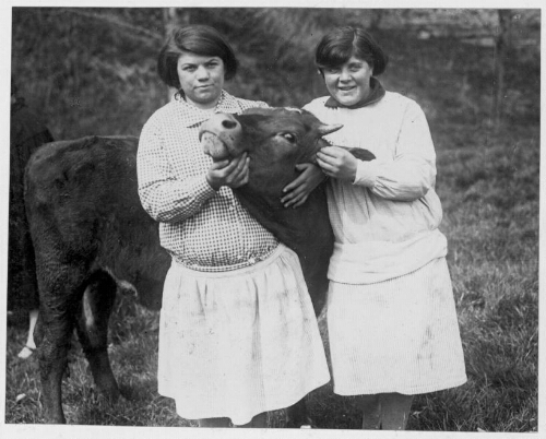 Vache et pupilles à l’école de préservation de Doullens