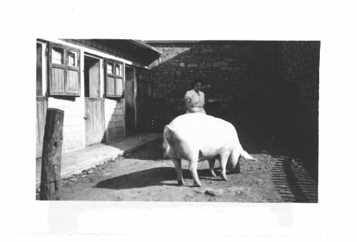 Jeune fille devant la porcherie de l’IPES de Brecourt